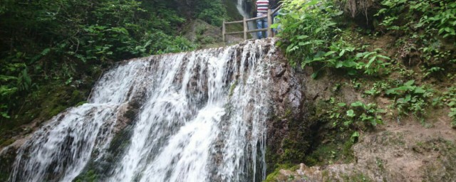 栾川旅游攻略是什么(栾川景区攻略)