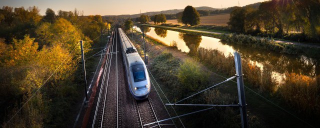 忘记带身份证坐高铁怎么办(坐高铁忘带身份证了怎么办?)