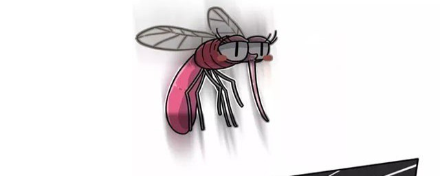 灭蚊子方法(天然灭蚊子方法)