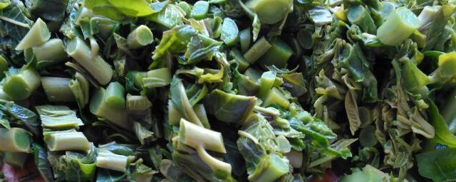 香椿煮多久(香椿煮多久才不致癌)