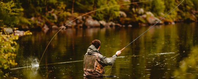 钓鱼黑坑是什么意思(钓鱼黑坑指的是什么)