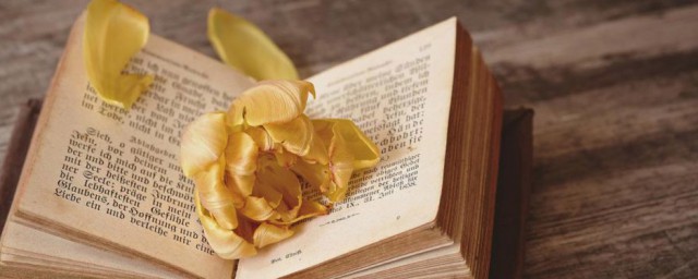 远水不救近火的含义(什么是远水不救近火)