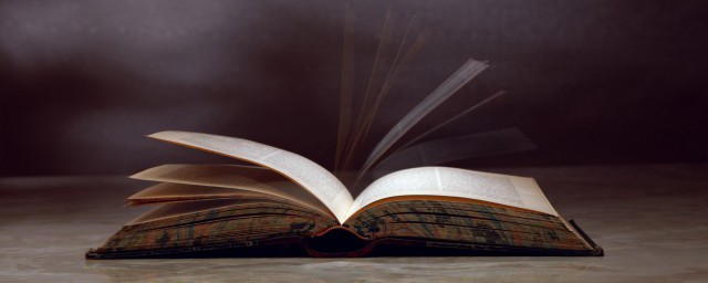 粉了的意思(粉了他是什么意思)