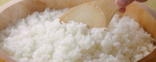 蒸箱的介绍(蒸箱是做什么的)