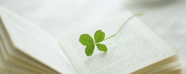 尊的意思(养尊处优的意思)