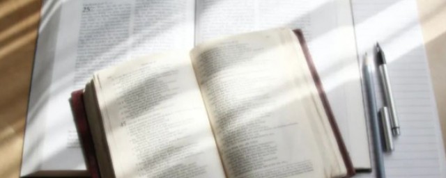 肤浅的理解(肤浅的理解一下)