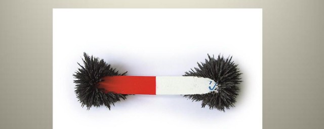 磁极是什么(地球磁极是什么)