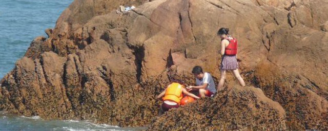 枸杞岛旅游攻略(枸杞岛旅游攻略自驾)