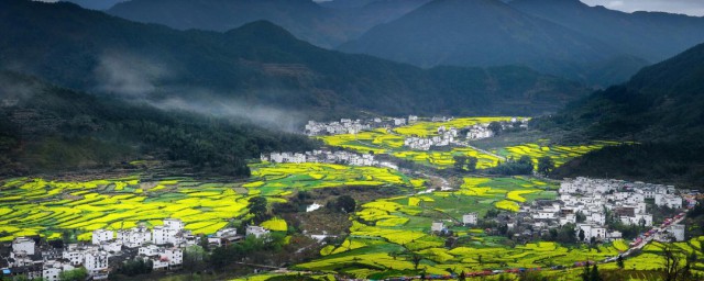 婺源必去的4个景点介绍(婺源哪几个景点值得去)