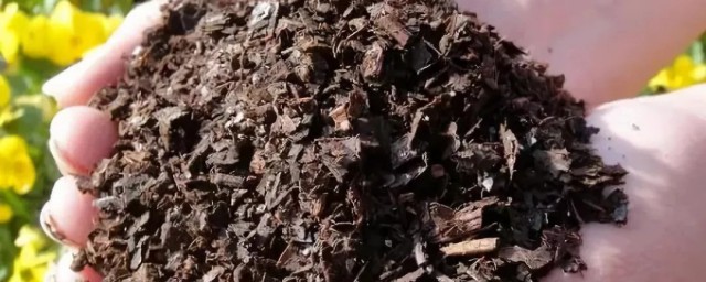 营养土能不能直接种花(花卉营养土能不能直接种花)