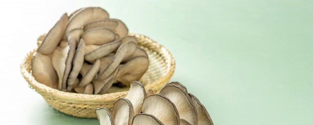 隔夜的蘑菇可以吃吗(蘑菇隔夜的能吃吗)