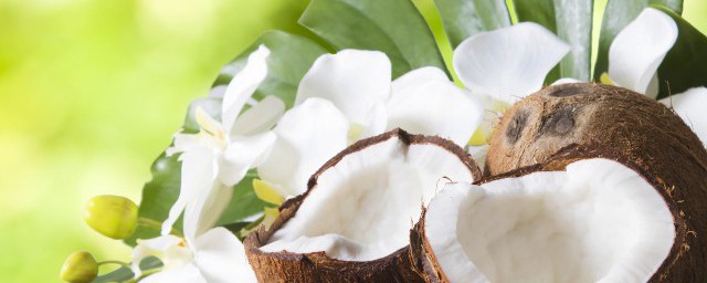 椰皇解释(椰皇 百科)