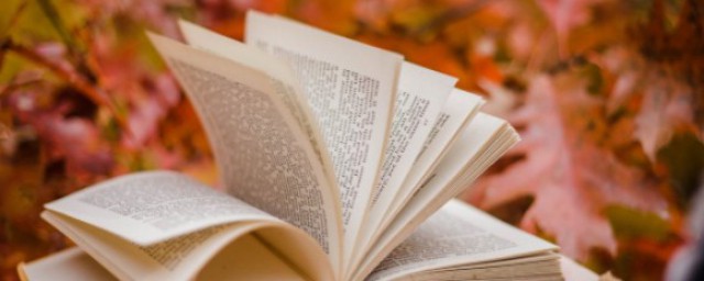 竟然的理解(竟然怎么理解)