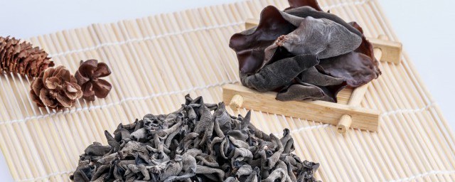 木耳和蘑菇能不能一起吃(木耳能与蘑菇一起吃吗)