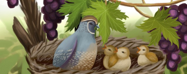 蒙鸠为巢的的意思(蒙鸠为巢的拼音怎么读)