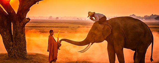 遁世者介绍(遁世者怎么读)