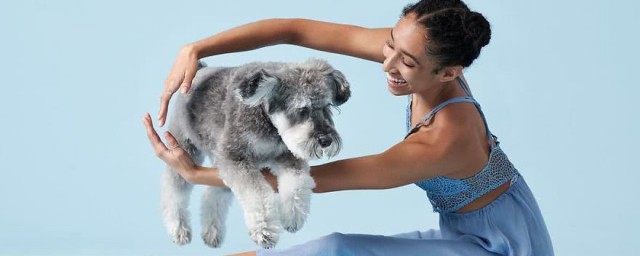 与狼共舞的意思(与狼共舞的意思是什么生肖)