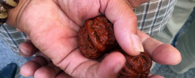 被核桃皮染黑了处理方法(剥核桃皮后手被染黑怎么办)