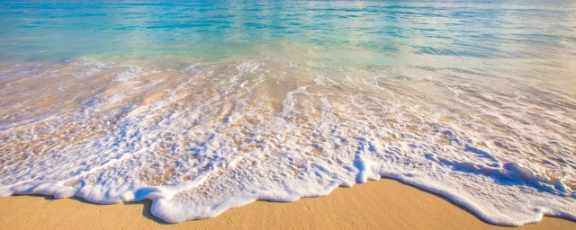 玉屑银末的意思是什么(玉屑银末读音是什么)