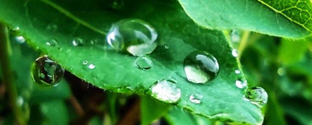 润过的近义词及解释(润过的近义词是什么 标准答案)