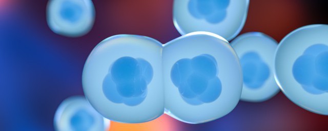 凹空细胞具体是什么意思(少数凹空样细胞)