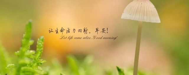 有关于吃苦励志的句子有哪些(自己吃苦励志句子)