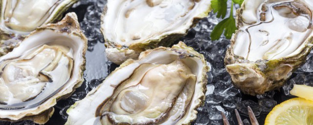 生蚝是否能放冰箱冷冻(生蚝可以放冰箱里冷冻吗)