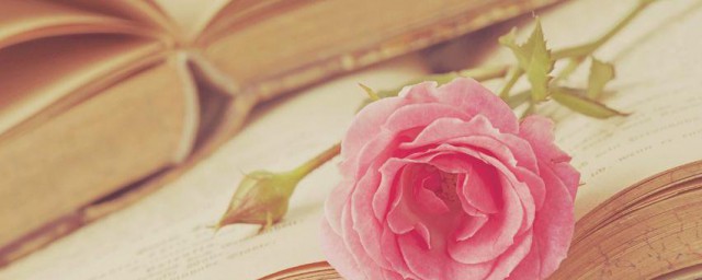 赫赫战功解释(战功显赫意思)