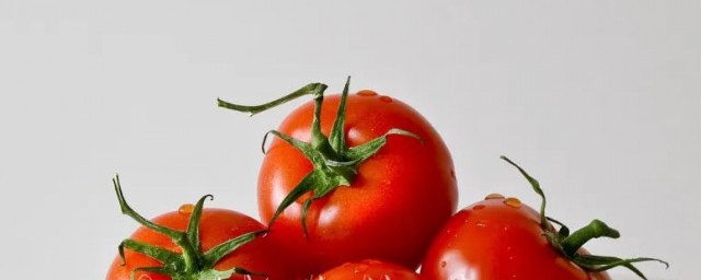 番茄是什么(番茄是什么意思什么梗)