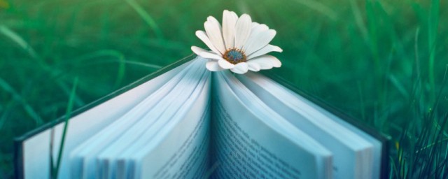 文言文吾腰千钱悟出的含义(吾腰千钱文言文翻译和注释)