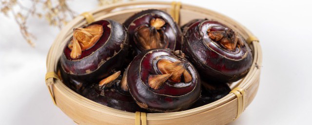 马蹄搭配什么包饺子好吃(马蹄配什么菜包饺子)