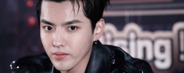 关于吴亦凡事件(关于吴亦凡事件的看法作文)