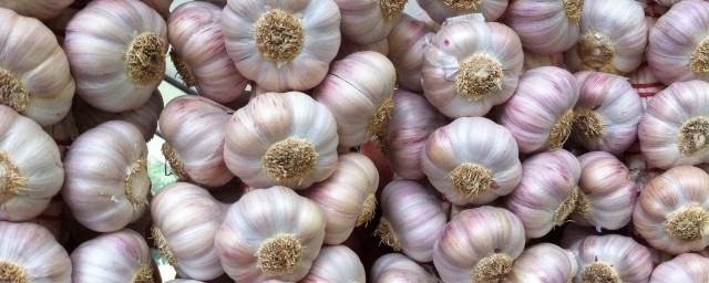 蒜是不是辛辣食物(蒜算是辛辣食物吗)