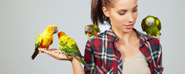 翠鸟移巢的道理(翠鸟移巢这个故事告诉我们一个什么道理)