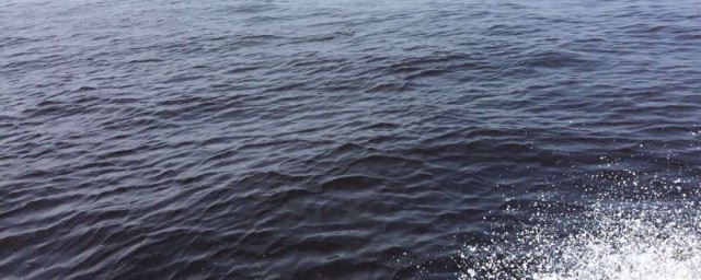 海东京湾水非常脏的原因(东京湾海水污染)