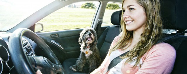 汽车总质量的解释(汽车上面的总质量是什么意思)