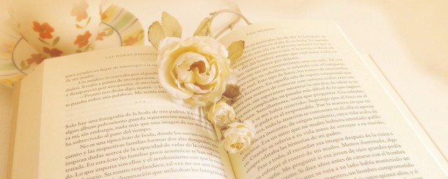 模样怎么读(似的模样怎么读)