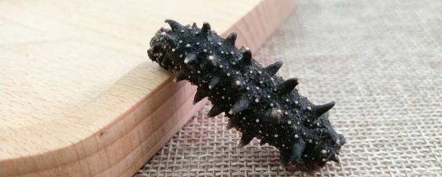 海参的做法(海参的做法大全家常)