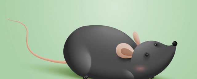 老鼠嫁女儿故事告诉我们啥道理(老鼠嫁女读完这个故事后你明白了什么道理)