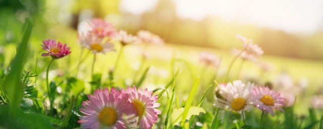 雨后天晴的解释(表示雨后天晴的诗)