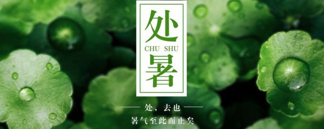 处暑养生注意事项(处暑的宜忌)