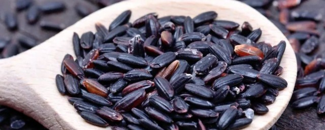 黑米掉色正不正常(黑米为什么有的掉色有的不掉色)