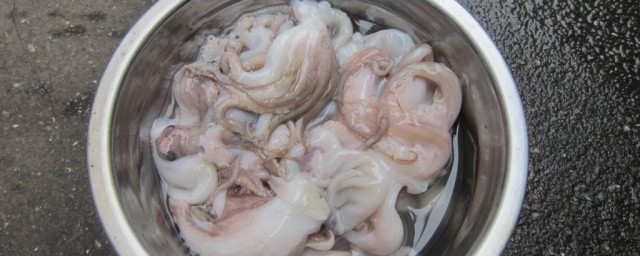 八爪鱼用去除内脏吗(八爪鱼用处理内脏吗)