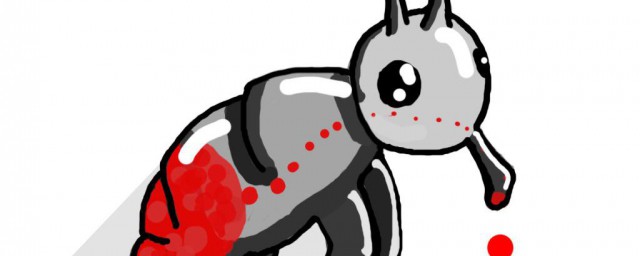 有跳蚤怎么处理(怎么去除跳蚤)