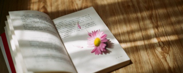 不说再见的解释(说不再见是什么意思)