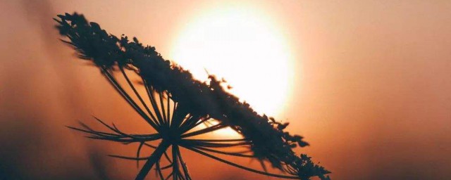 超扎心的一句伤感说说有哪些(伤感扎心说说长句)