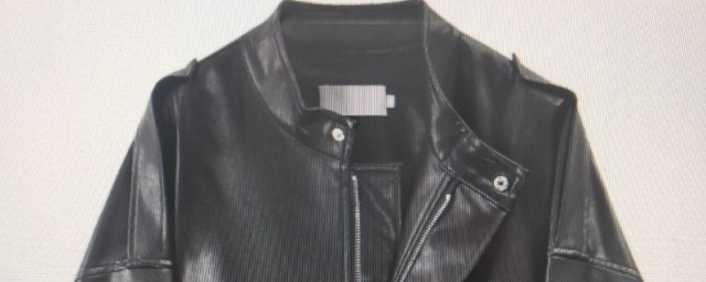 皮衣上染色了处理方法(皮衣染上颜色怎么处理)