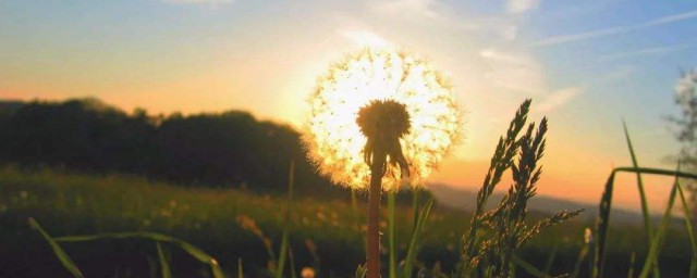 适合00后发朋友圈的句子有哪些(00后发朋友圈说说)