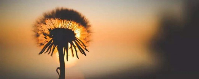 最暖心最撩人最简短的伤感文案有哪些(文案句子撩人)