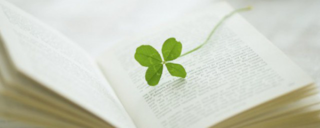 相提并论的解释(相提并论的解释怎么写)